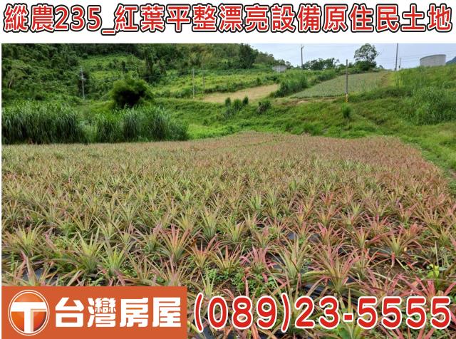 延平農地-7