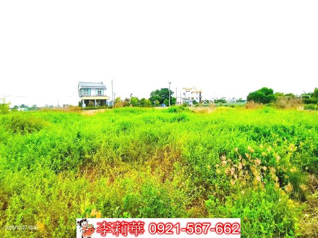 西港農地-10