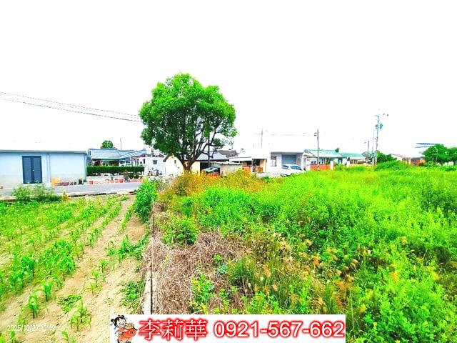 西港農地-5