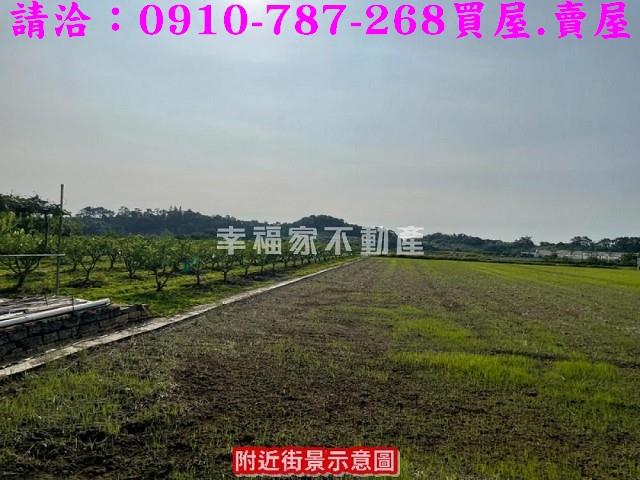 台南農地-2
