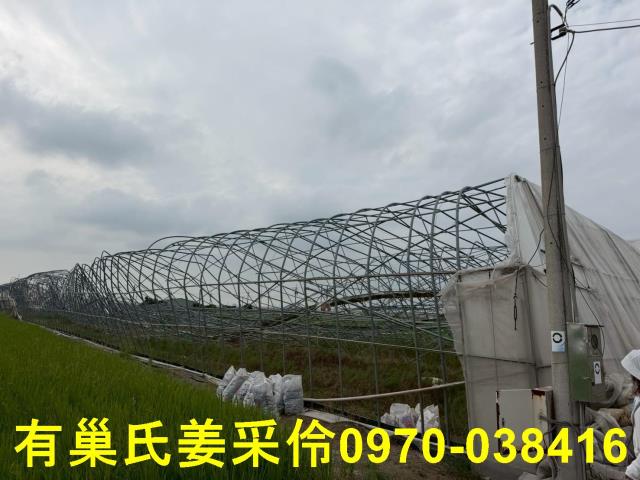 嘉義太保農地-9