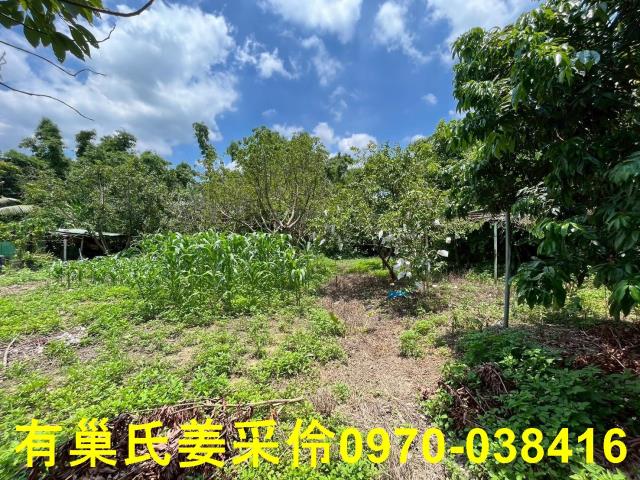 嘉義東區農地-3