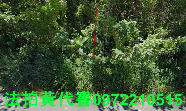 安定法拍農地-8