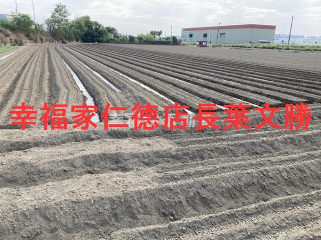 台南農地-8