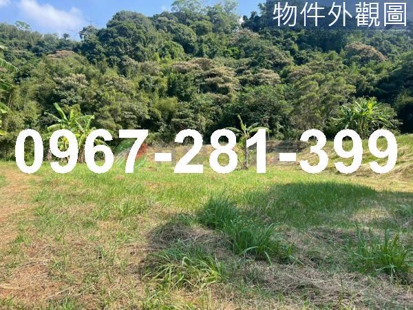 苗栗三灣農地-7