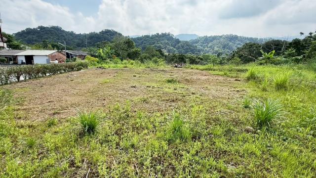 新竹橫山農地-1