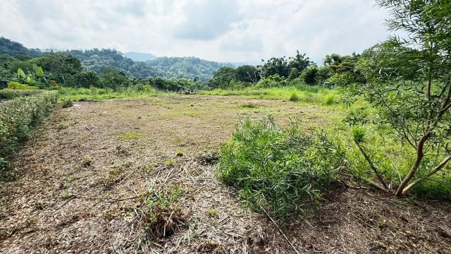 新竹橫山農地-2