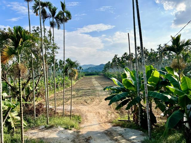 南投中寮農地-3