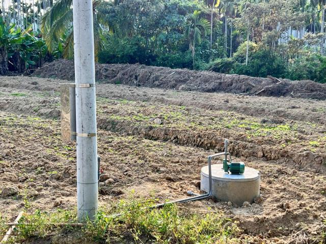 南投中寮農地-7