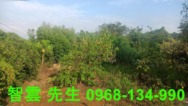 桃園觀音建地-2