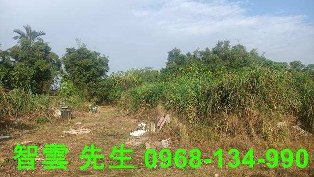 桃園觀音建地-1