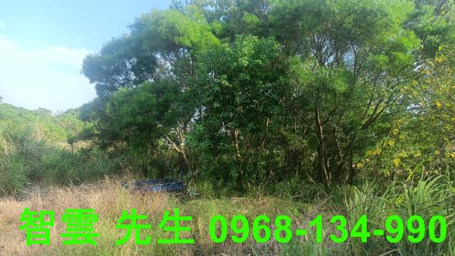 桃園觀音建地-2