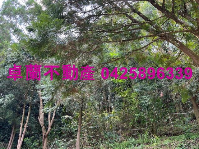 苗栗卓蘭農地-13