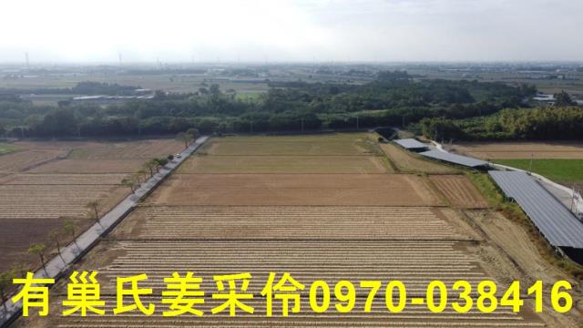 嘉義大林農地-8