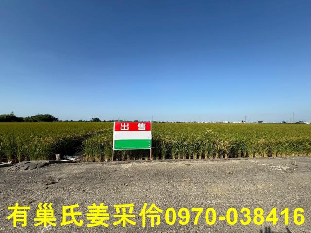 嘉義溪口農地-1