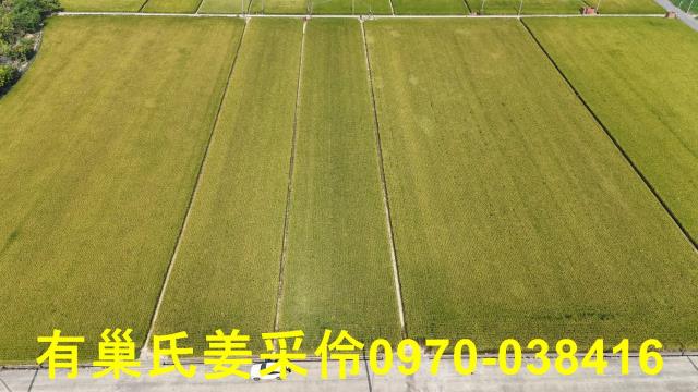 嘉義溪口農地-5