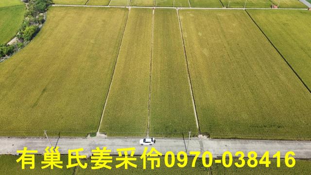 嘉義溪口農地-7