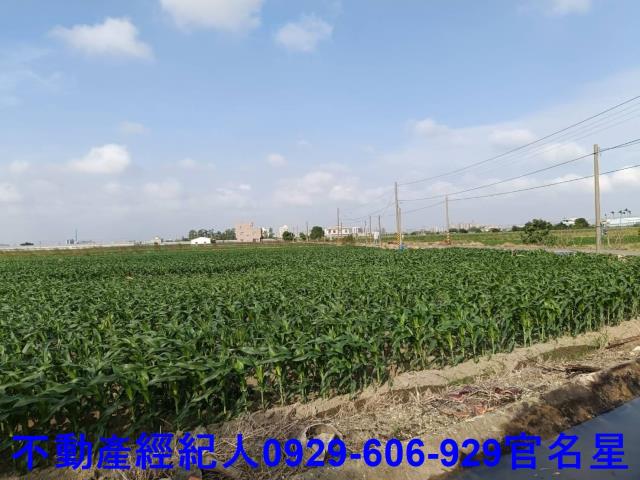 嘉義建地-8