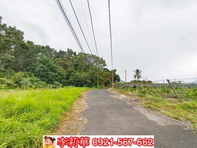 台南楠西農地-1