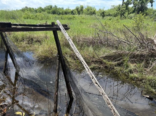 台南安南農地-1