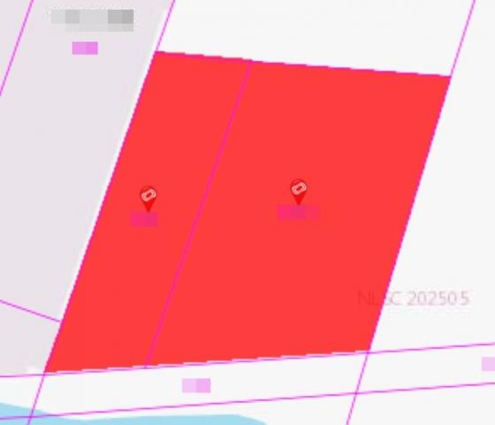 台南安南農地-5