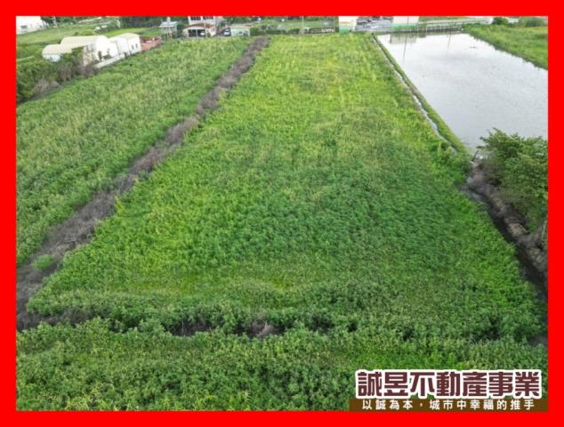 台南安南農地-2