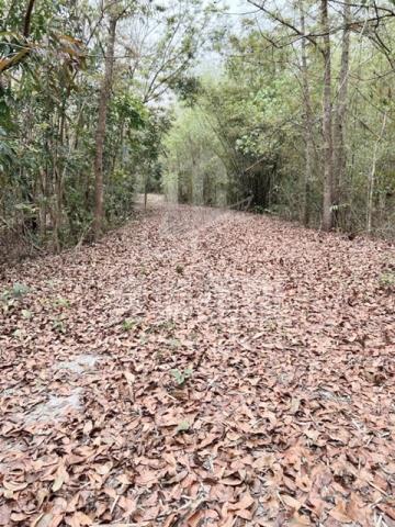 台南龍崎農地-2