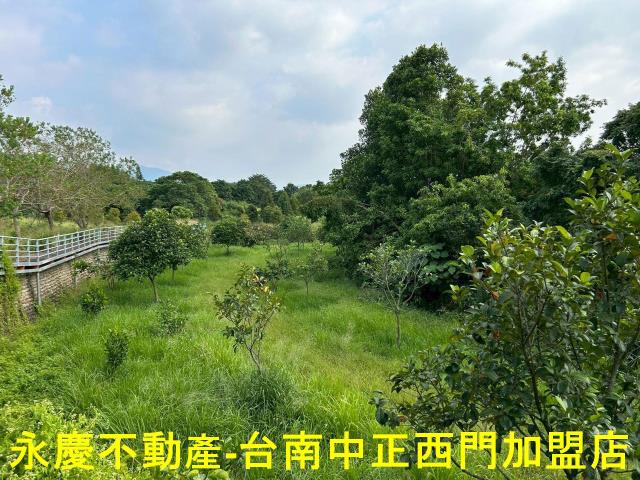 台南楠西農地-6