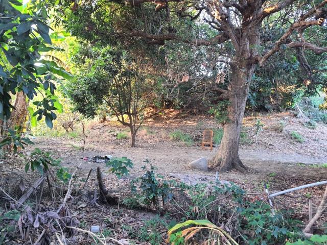 台南佳里農地-11