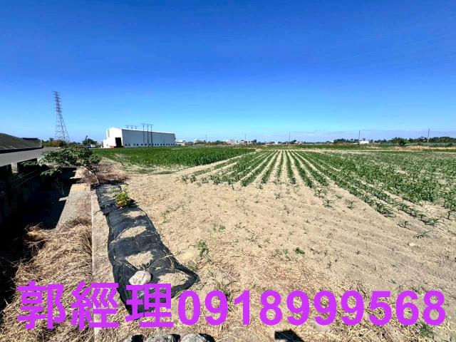 學甲農地-11