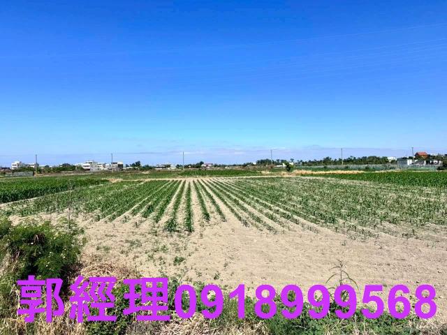 學甲農地-6