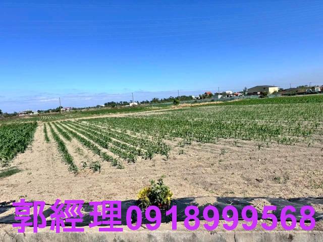 學甲農地-9
