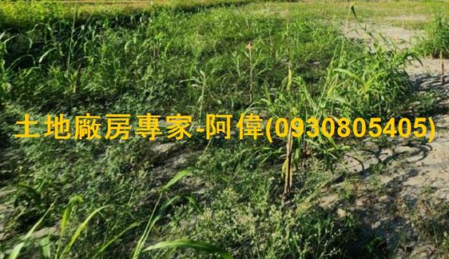 高雄大寮農地-1