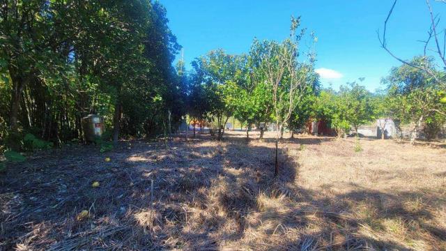 新竹橫山農地-10