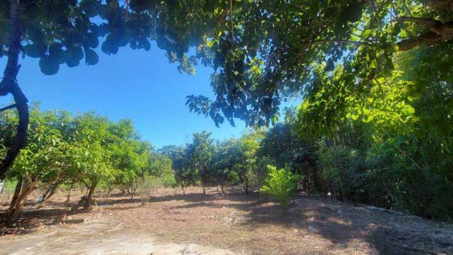 新竹橫山農地-14