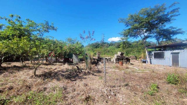 新竹橫山農地-7