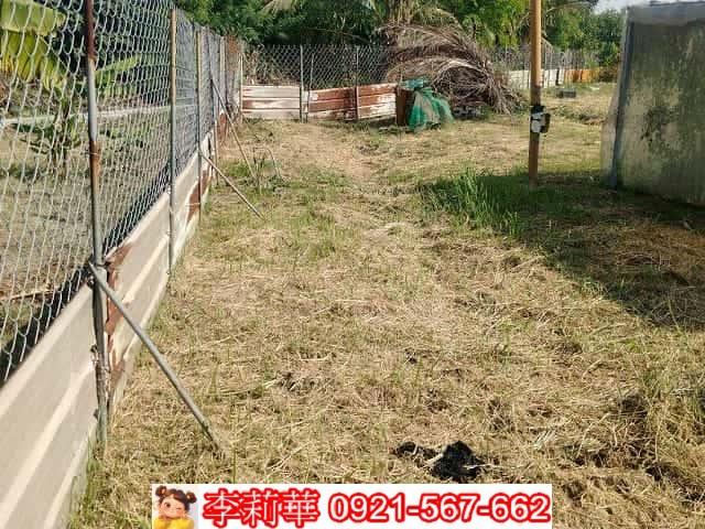 台南農地-12