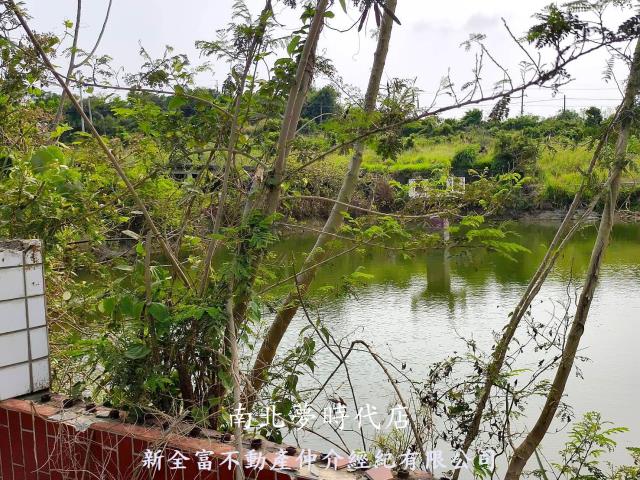 台南新化農地-4