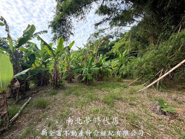 台南左鎮農地-12