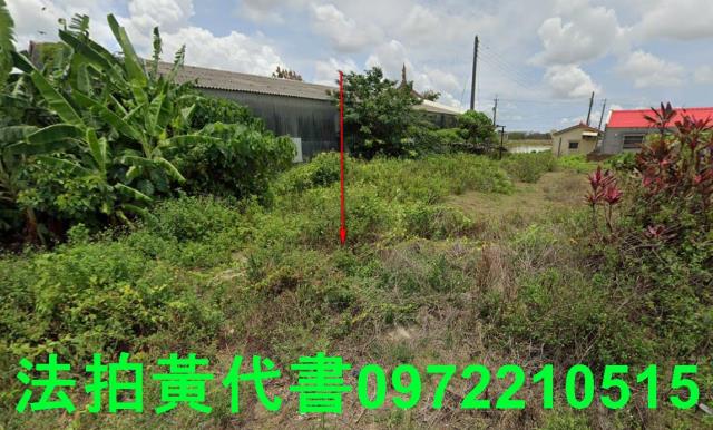 台南學甲法拍建地-3