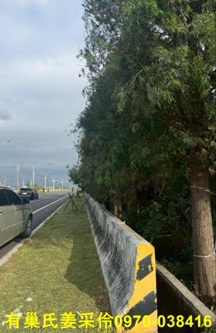 嘉義新港農地-1