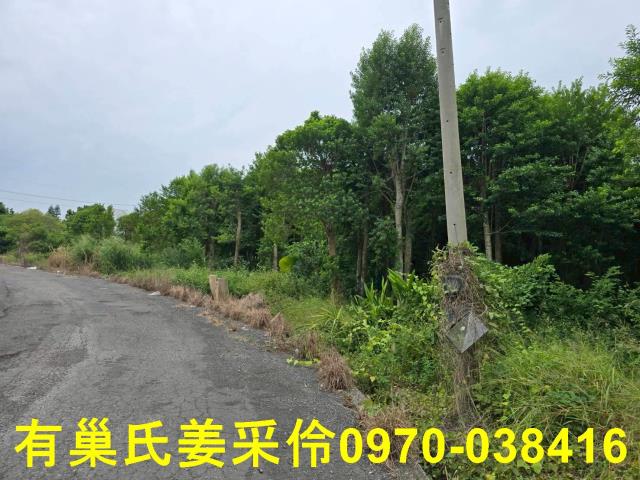 嘉義民雄農地-10