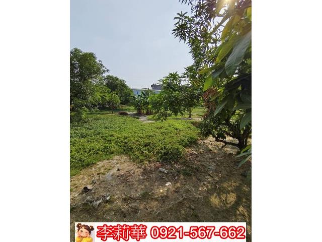 高雄岡山農地-7