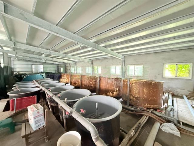 高雄彌陀農地-7