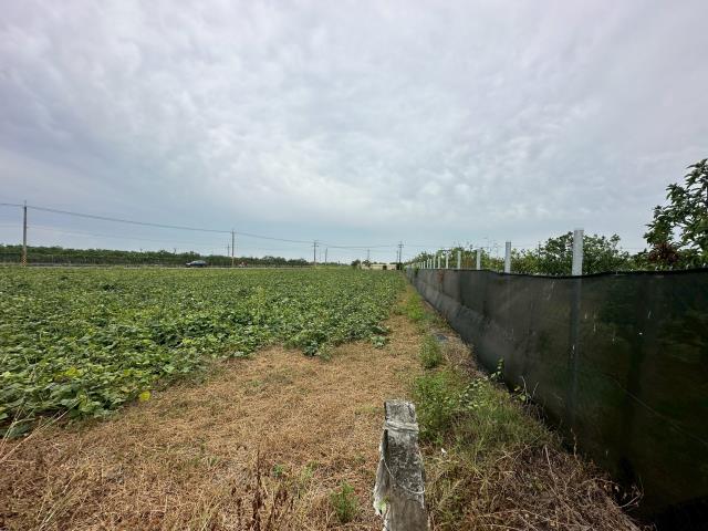 麻豆農地-4