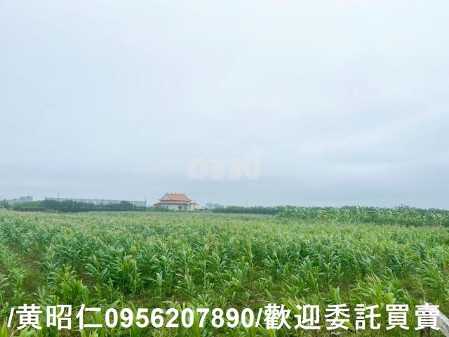 台南農地-2