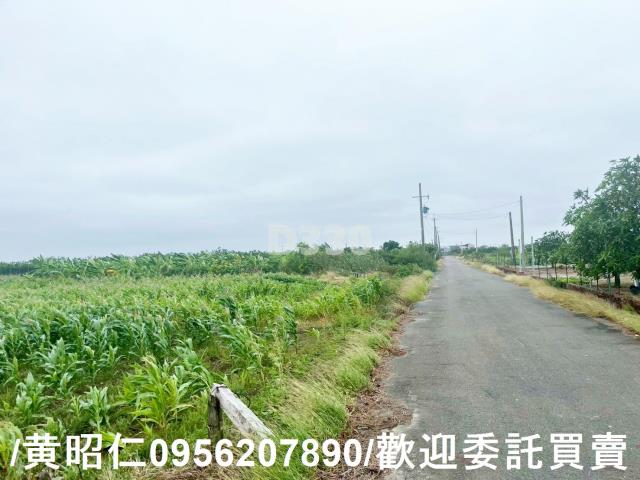台南農地-4