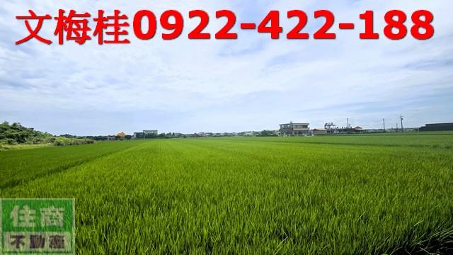 宜蘭壯圍農地-1