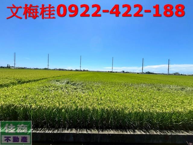 宜蘭壯圍農地-2