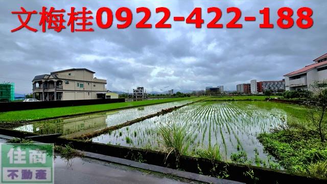 宜蘭宜蘭市農地-6